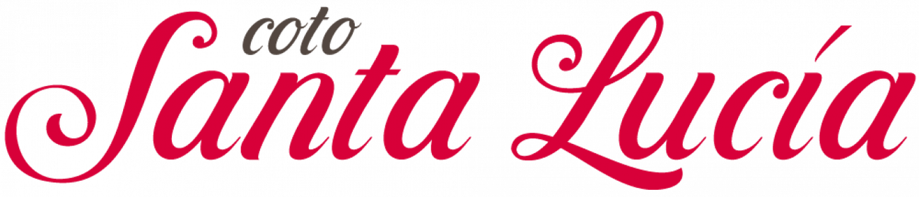 santa Logo